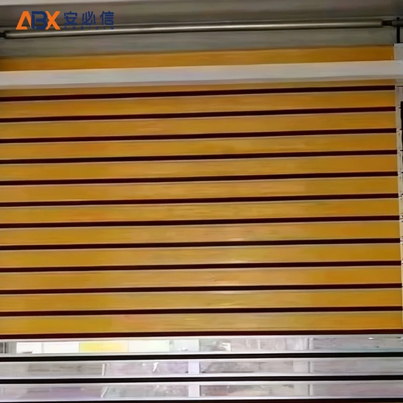 儋州市感应高速门